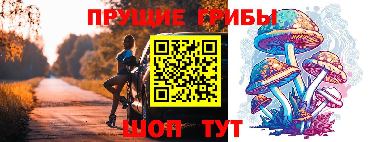 Галлюциногенные грибы Cubensis Кострома