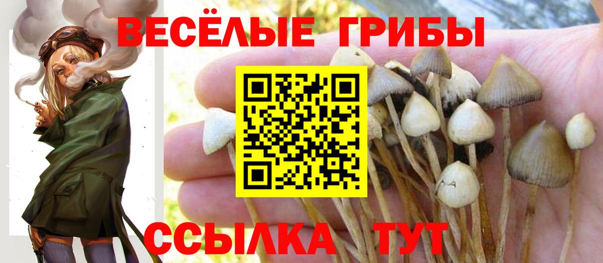 Кострома  Псилоцибиновые грибы Psilocybine cubensis  Псилоцибиновые грибы Psilocybe  цены   Вход с VPN 